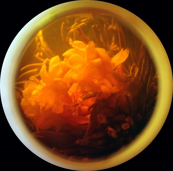 MIRA2013_3.jpg